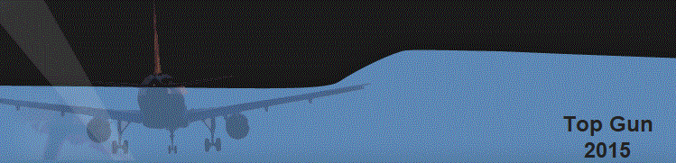   Top Gun
  2015